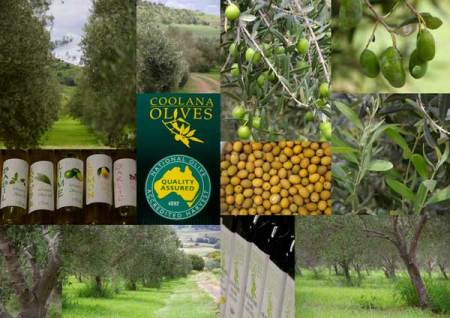 Coolana Olives Products that taste WOW!